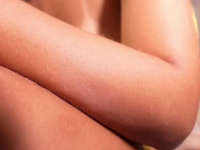 Saryhott — 