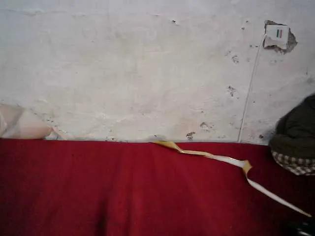 Freechat Sweet-Trizer on BongaCams