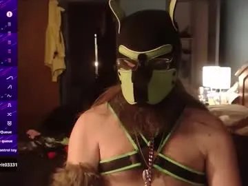 Freechat kinkywolf87 on Chaturbate