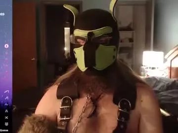 Freechat kinkywolf87 on Chaturbate