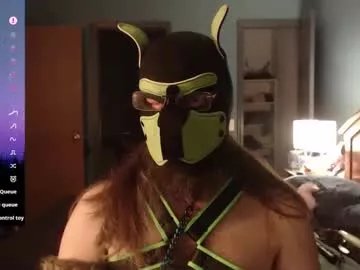 Freechat kinkywolf87 on Chaturbate