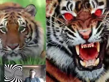 Chaturbate kodiakpm1 is Freechat kodiakpm1 — chill - Repeating Goal: - #feet #fit #hairy #mature #private