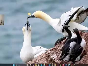 Freechat y_sticky on Chaturbate