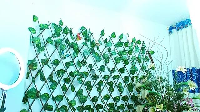 Freechat dannamomcerrat on StripChat