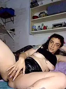 StripChat SalyTredelMonte is Freechat SalyTredelMonte — 3 plug ass
