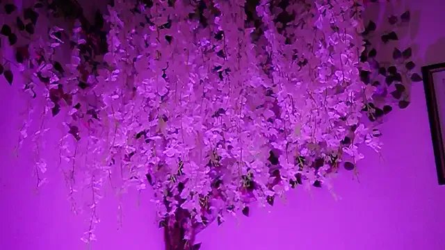 Freechat thin_princess on StripChat