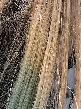 Freechat tinker_exotic_1 on StripChat