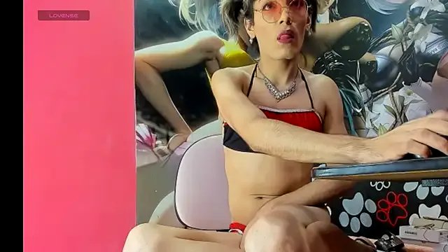 Freechat wild-cat-hot on StripChat